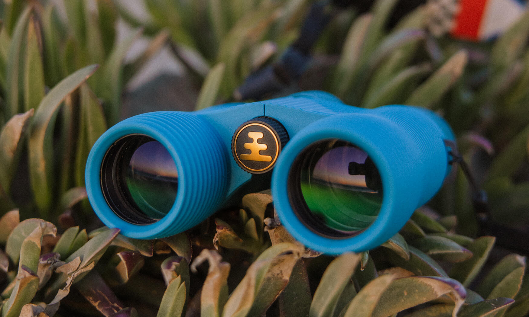 Corsican Blue Field Issue 8x32 Binoculars product image #5