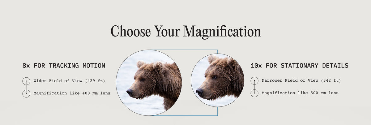 Choose your magnification: 8x for tracking motion, 10x for stationary details